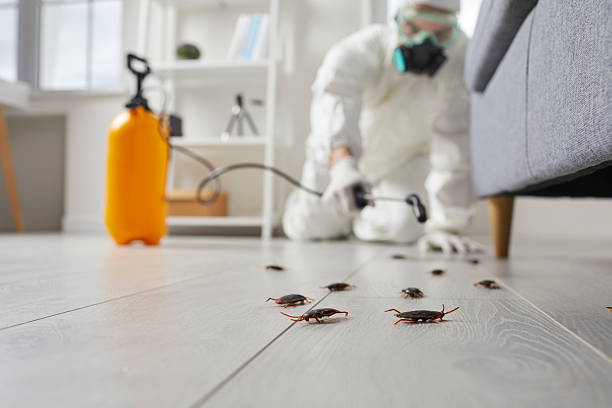 Post-Treatment Bed Bug Interceptor Monitoring in Omaha